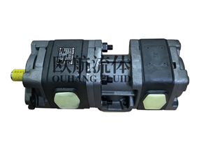桑尼SUNNY双联泵HG11-63-32-01R-VPC